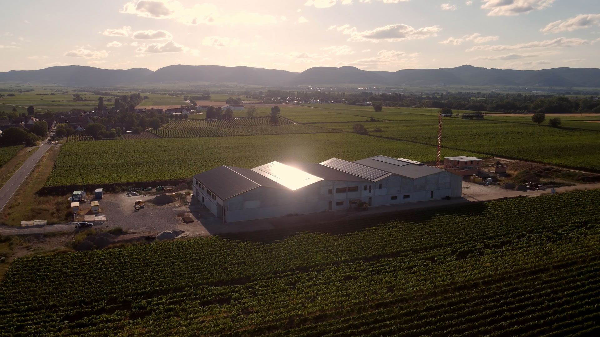 德国Ellermann-Spiegel酒庄光伏项目