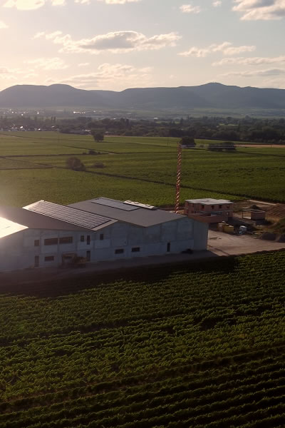 PV-project voor de wijnmakerij in Duitsland